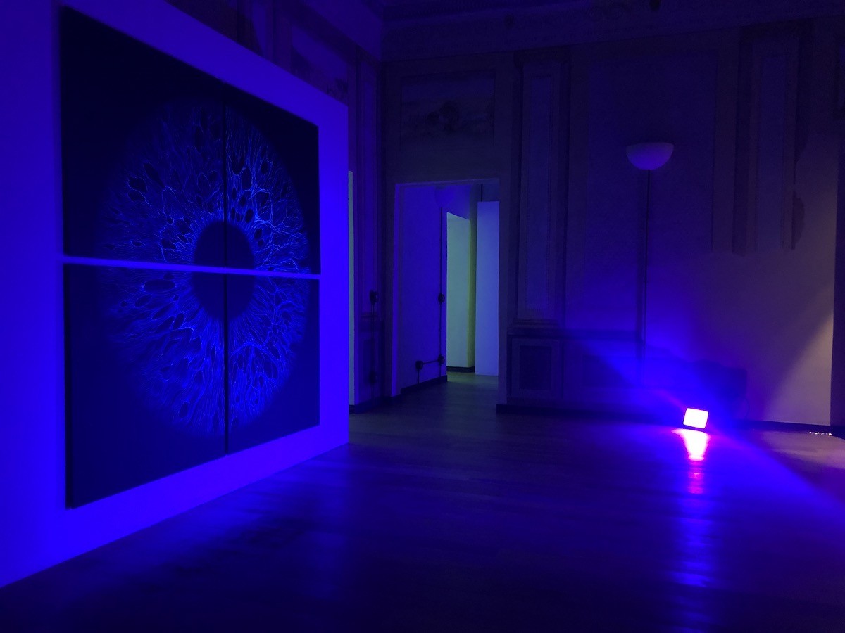 Nicola Evangelisti new quantum 2020 - vernice fluorescente su tela